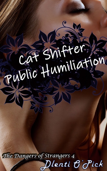 Cat Shifter Public Humiliation - Book 4 of "The Dangers of Strangers" - cover