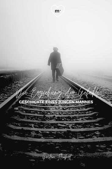 Die Erziehung der Gefühle - Geschichte eines jungen Mannes - cover