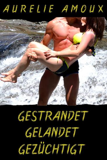 Gestrandet gelandet gezüchtigt - Erotisches Abenteuer - cover