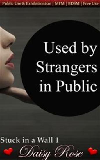 Used By Strangers In Public - Book 1 of 'Stuck in a Wall' - cover