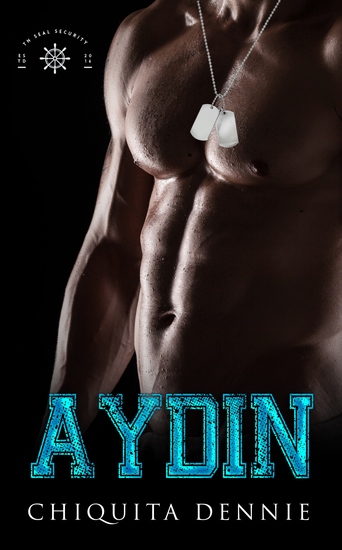 Aydin - A Grumpy Boss Interracial Romantic Suspense - cover