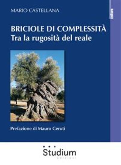 Briciole di complessità - Tra la rugosità del reale - cover