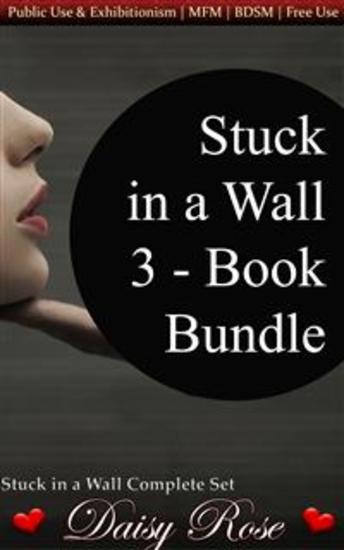 Stuck In A Wall 3-Book Bundle - cover