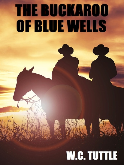 The Buckaroo of Blue Wells - cover