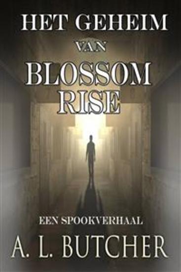 Het Geheim Van Blossom Rise - cover