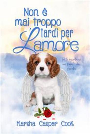 Non È Mai Troppo Tardi Per L'amore - cover