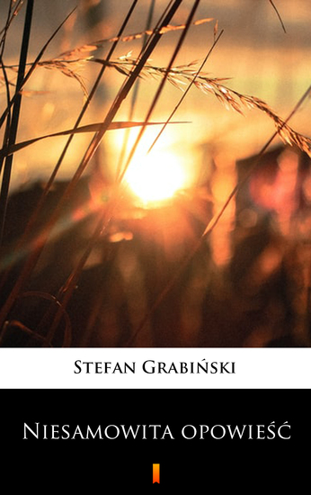 Niesamowita opowieść - cover