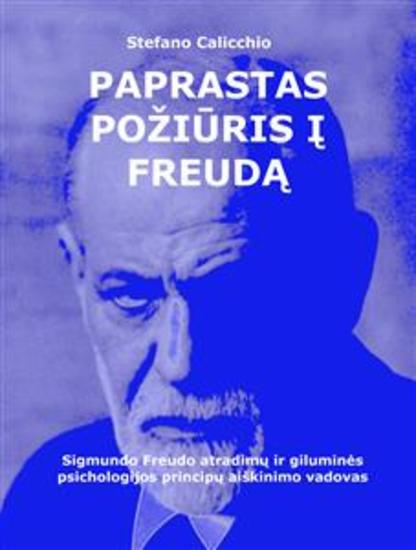 Paprastas požiūris į Froidą - Sigmundo Freudo atradimų ir giluminės psichologijos principų aiškinimo vadovas - cover