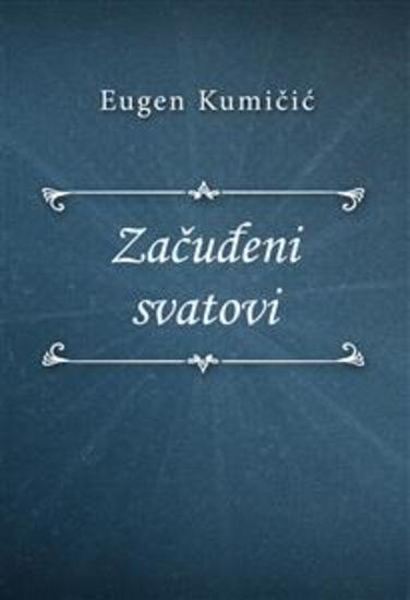 Začuđeni svatovi - cover