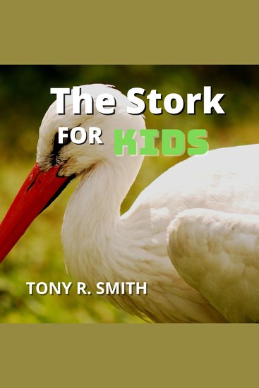 The Stork for Kids - cover