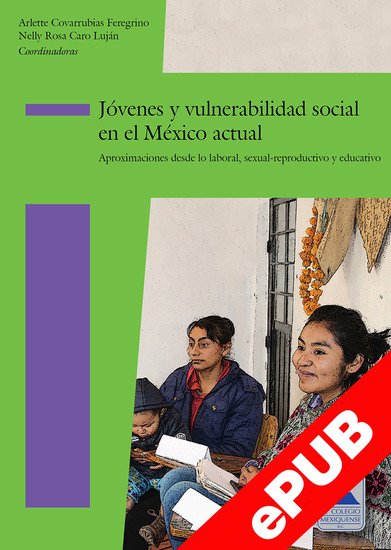 Jóvenes y vulnerabilidad social en el México actual - Aproximaciones desde lo laboral sexual-reproductivo y educativo - cover