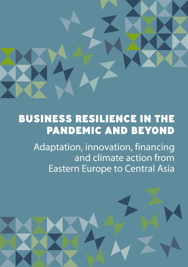 Business Resilience in the Pandemic and Beyond - Adaptation innovation financing and climate action from Eastern Europe to Central Asia - cover