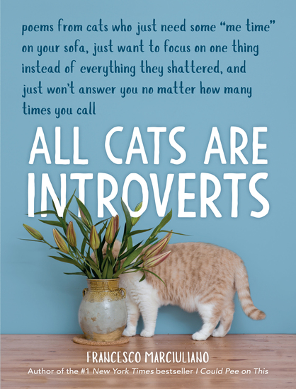 All Cats Are Introverts - cover