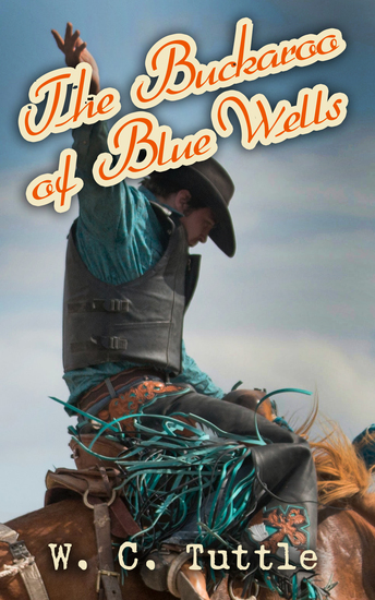 The Buckaroo of Blue Wells - cover