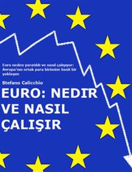 EURO: Nedir ve nasıl çalışır - Euro neden yaratıldı ve nasıl çalışıyor: Avrupa'nın ortak para birimine basit bir yaklaşım - cover