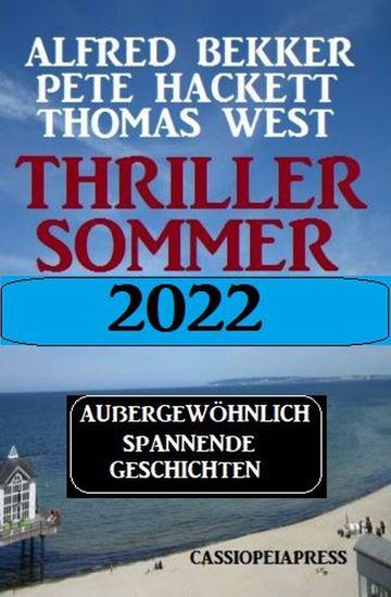 Thriller Sommer 2022: Außergewöhnlich spannende Geschichten - cover