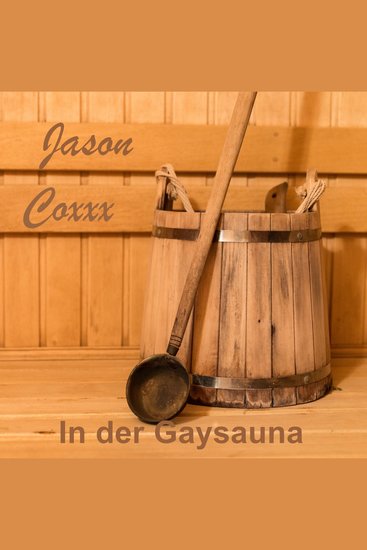 In der Gaysauna - cover
