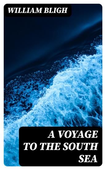 A Voyage to the South Sea - cover