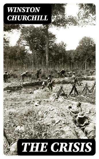 The Crisis - Historical Novel - cover