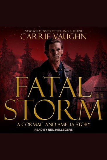 Fatal Storm - A Cormac and Amelia Story - cover