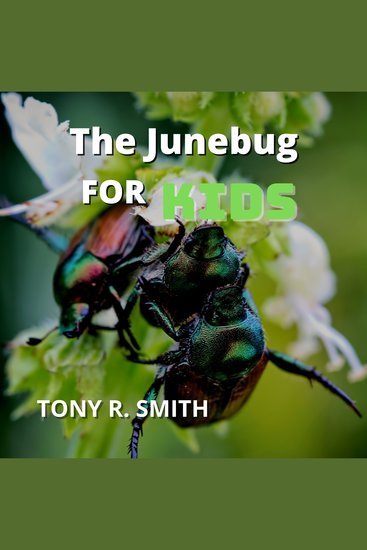 The Junebug for Kids - cover