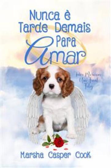 Nunca É Tarde Demais Para Amar - Todos Merecem Um Final Feliz - cover