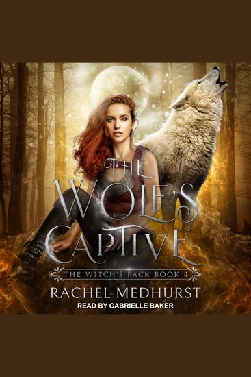 The Wolf's Captive - cover