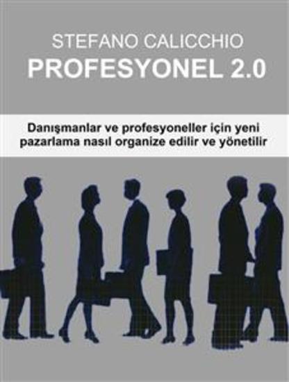 Profesyonel 20 - Danışmanlar ve profesyoneller için yeni pazarlama nasıl organize edilir ve yönetilir - cover