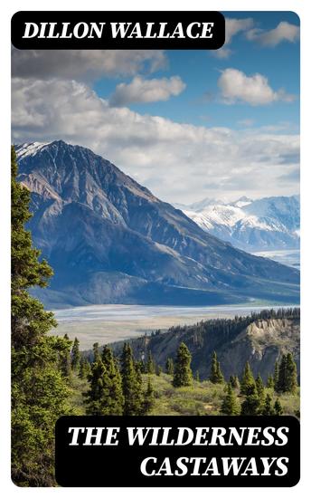 The Wilderness Castaways - cover