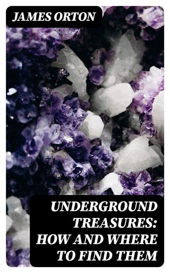 Underground Treasures: How and Where to Find Them - A Key for the Ready Determination of All the Useful Minerals Within the United States - cover
