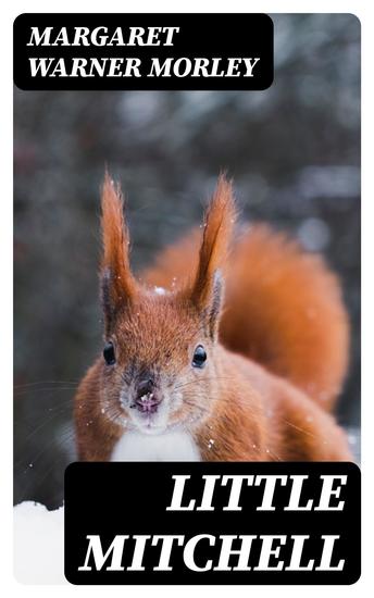 Little Mitchell - The Story of a Mountain Squirrel - cover
