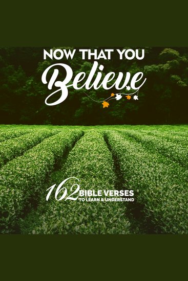 Now That You Believe - 162 Bible Verses To Learn & Understand - cover
