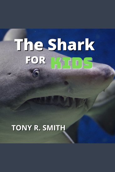 Sharks for Kids - cover