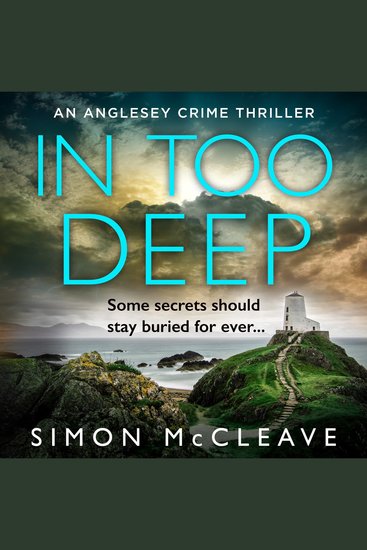 In Too Deep: The absolutely pulse-pounding crime thriller from the author of the bestselling Snowdonia DI Ruth Hunter series (The Anglesey Series Book 2) - cover