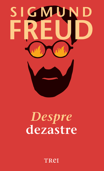 Despre dezastre - cover