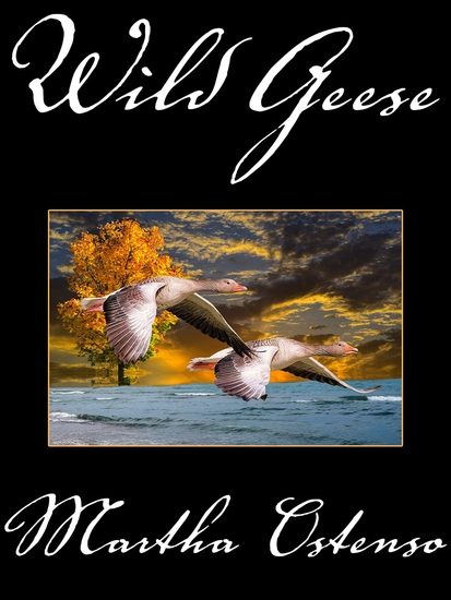 Wild Geese - cover