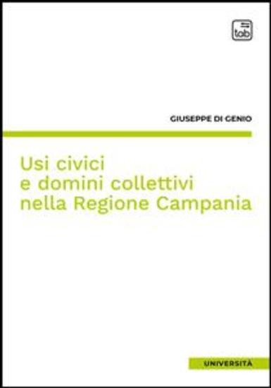 Usi civici e domini collettivi nella Regione Campania - cover