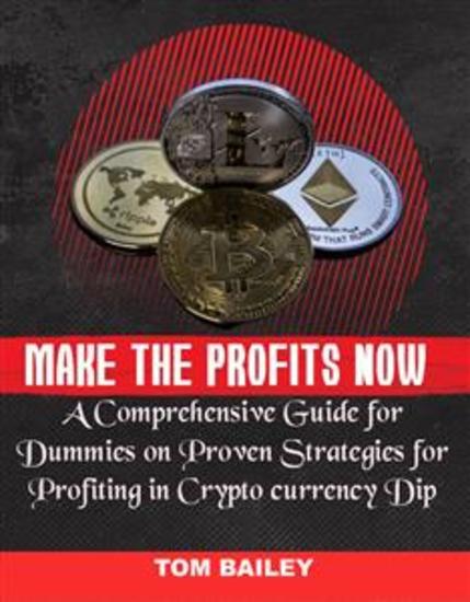Make the Profits Now - A Comprehensive Guide for Dummies On Proven Strategies for Profiting in Cryptocurrency Dip - cover