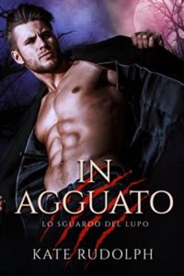 In Agguato - Paranormal Romance - cover