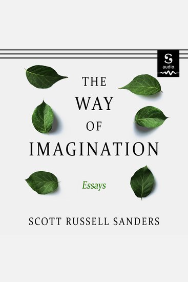 The Way of Imagination - cover