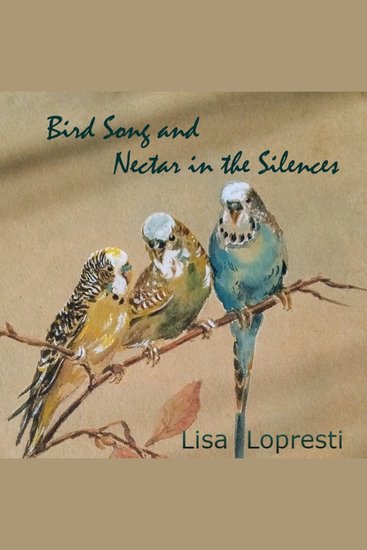 Bird Song and Nectar in the Silences - cover