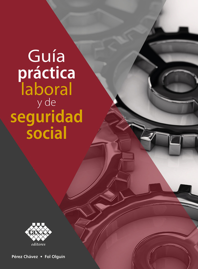 Guía práctica laboral y de seguridad social 2021 - cover