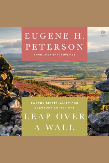 Leap Over a Wall - Earthy Spirituality for Everyday Christians - cover