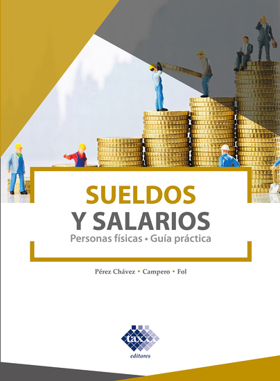 Sueldos y Salarios 2021 - Persona físicas Guía práctica - cover