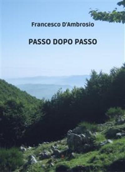 Passo dopo passo - cover