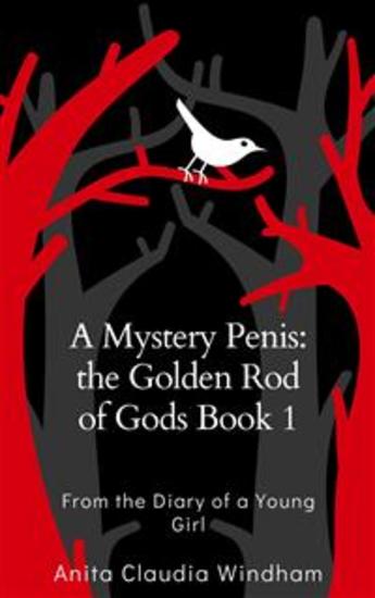 A Mystery Penis: the Golden Rod of Gods Book 1 - From the Diary of a Young Girl - cover