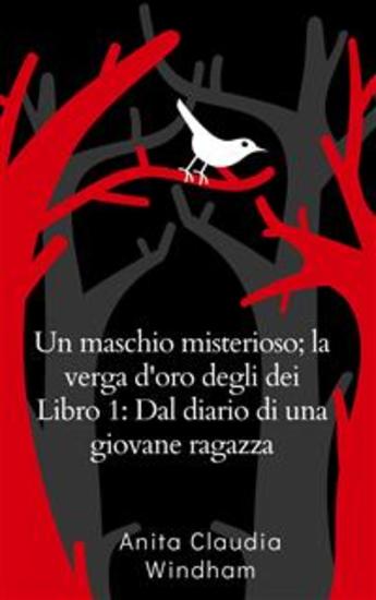Un maschio misterioso; la verga d'oro degli dei Libro 1: Dal diario di una giovane ragazza - cover
