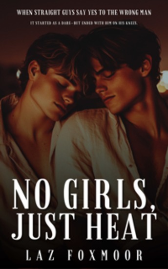 No Girls Just Heat - When Straight Guys Say Yes to the Wrong Man - cover