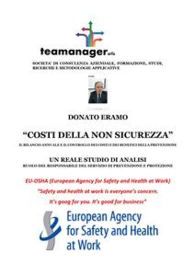 Costi della non sicurezza - IL BILANCIO ANNUALE E IL CONTROLLO DEI COSTI E DEI BENEFICI DELLA PREVENZIONE - cover