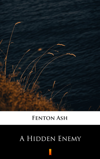 A Hidden Enemy - cover